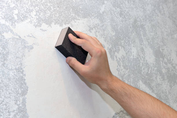 Best Mold Documentation for Insurance Claims  in Central, TN