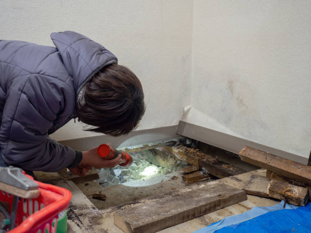 Best Asbestos and Lead Testing During Mold Inspection  in Central, TN