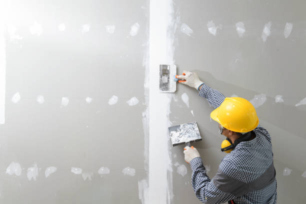  Central, TN Mold Removal Pros
