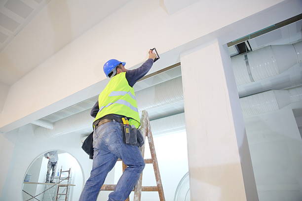 Professional Mold Removal in Central, TN