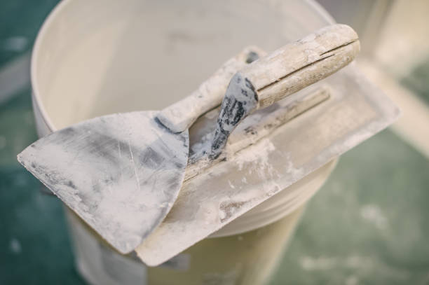 Forensic Mold Investigation in Central, TN