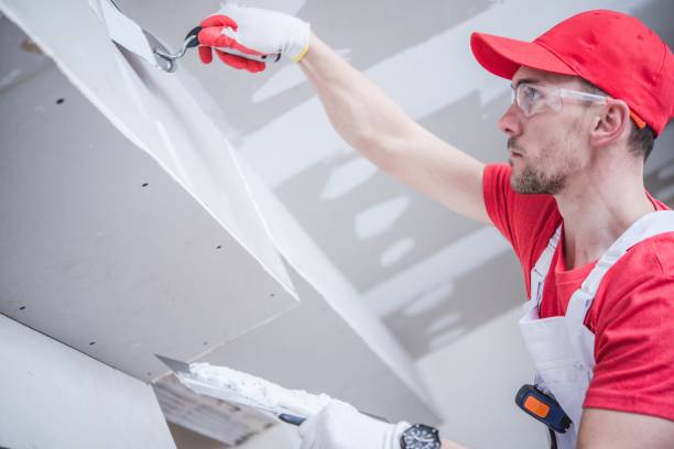 Best Basement Mold Removal  in Central, TN